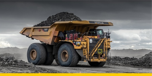 Kit CAS Dumper (Standard) - CAT 793D (copia)